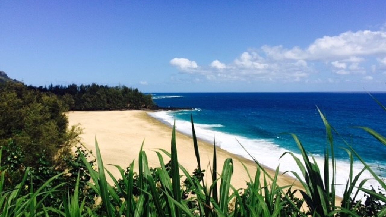 Photo of Others in Princeville