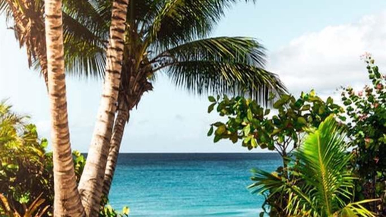 Photo of Others in Princeville