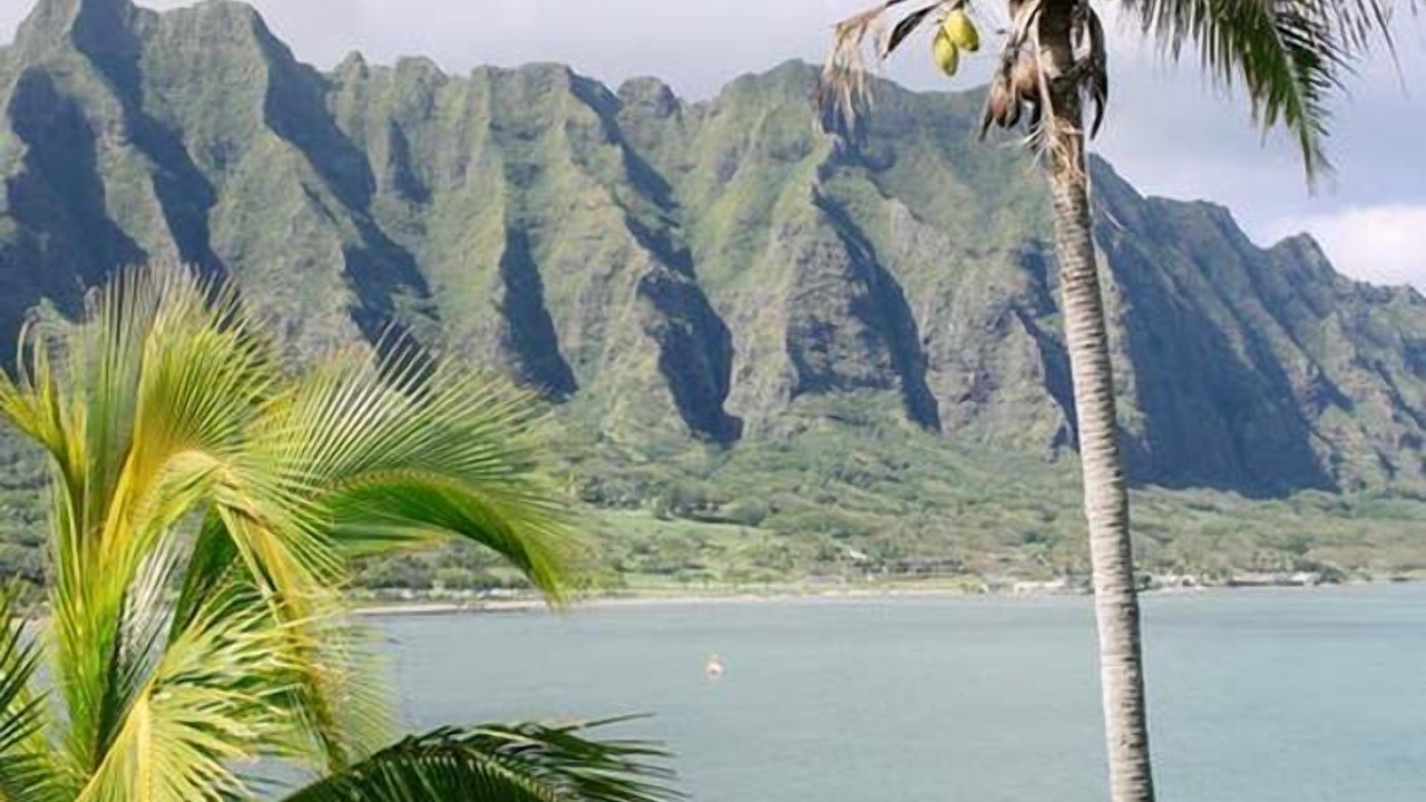 Photo of Others in Princeville