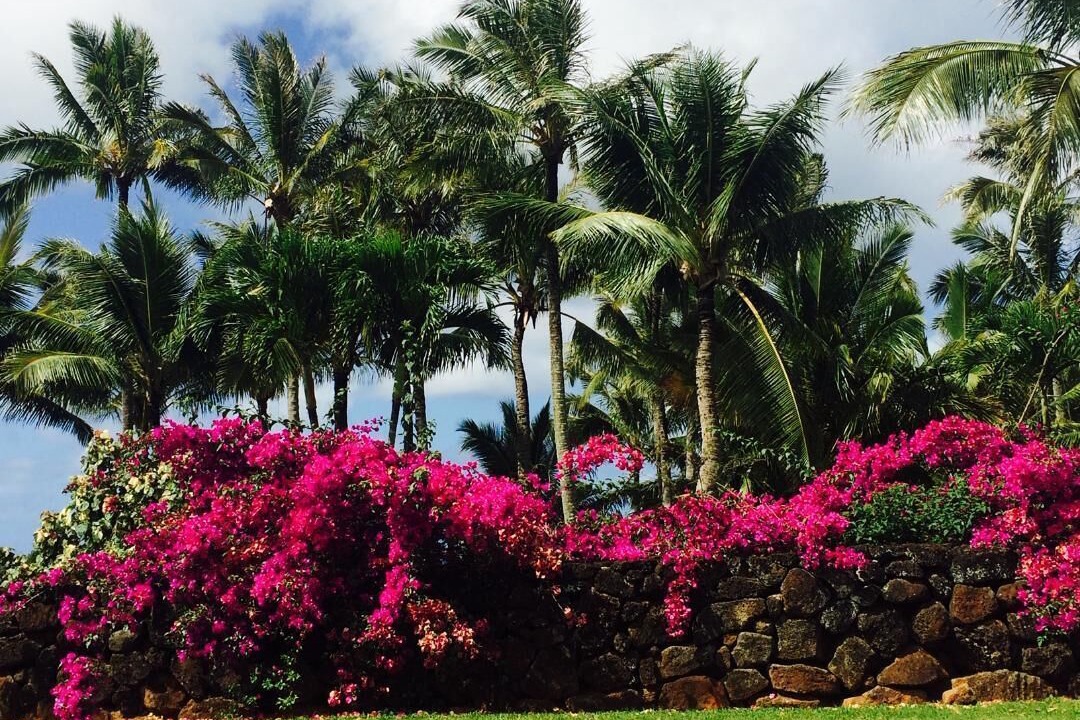 Photo of Outdoor in Princeville