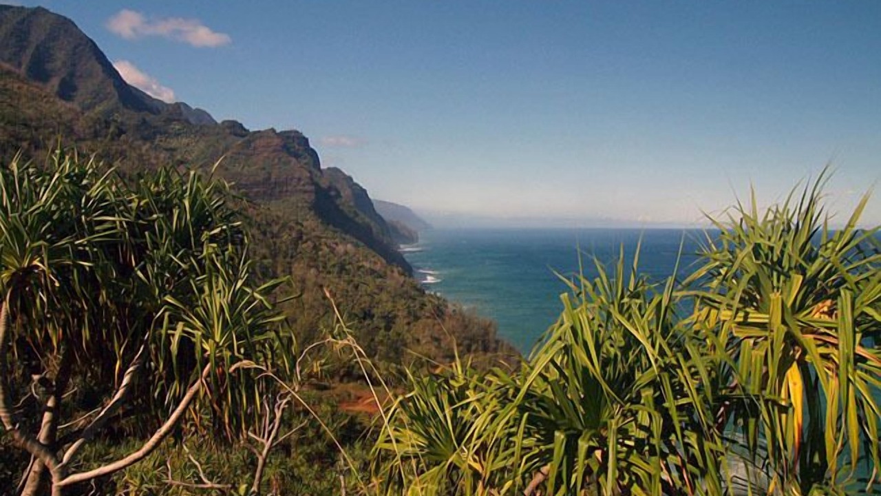 Photo of Others in Princeville