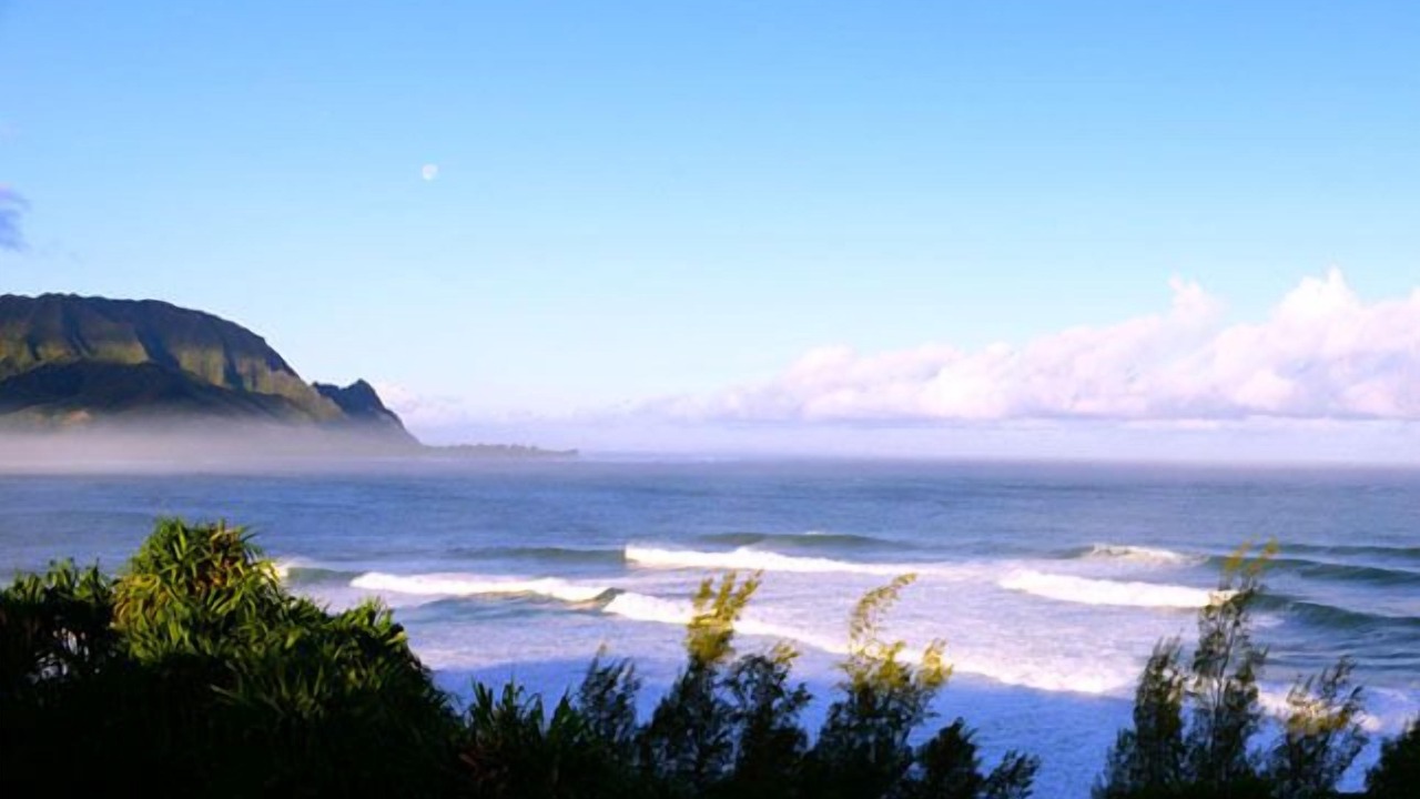 Photo of Others in Princeville