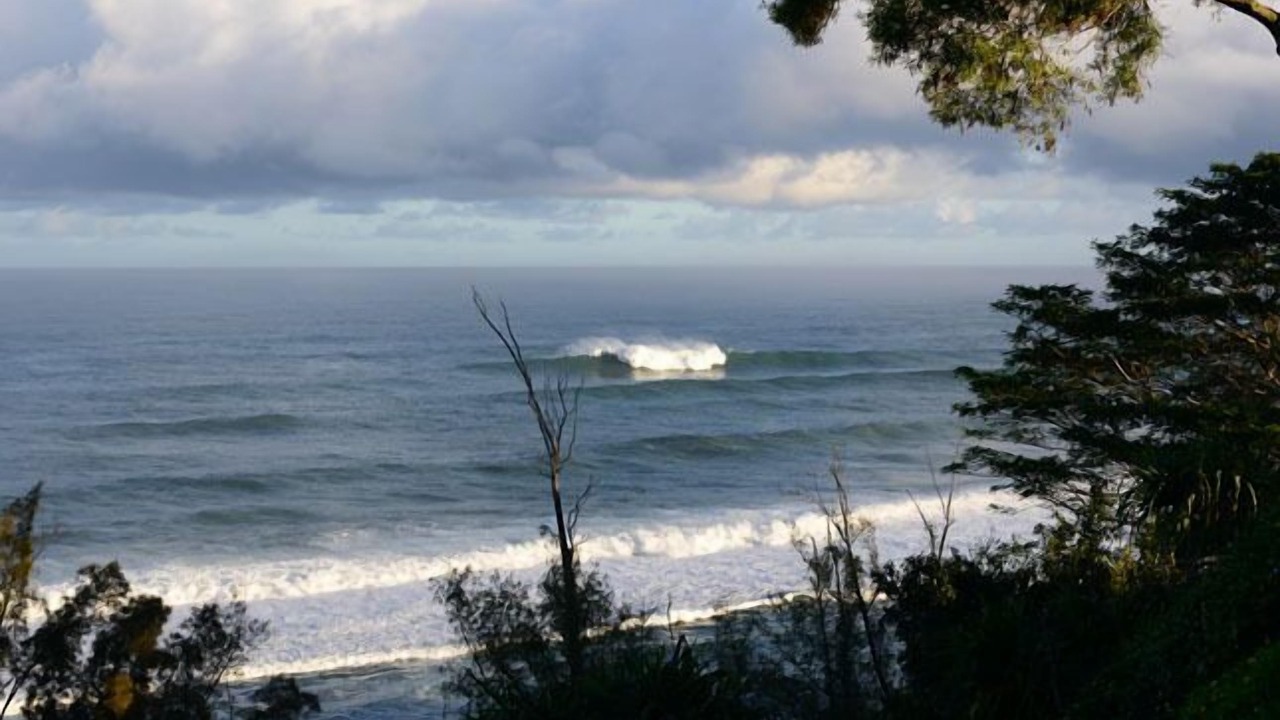Photo of Others in Princeville