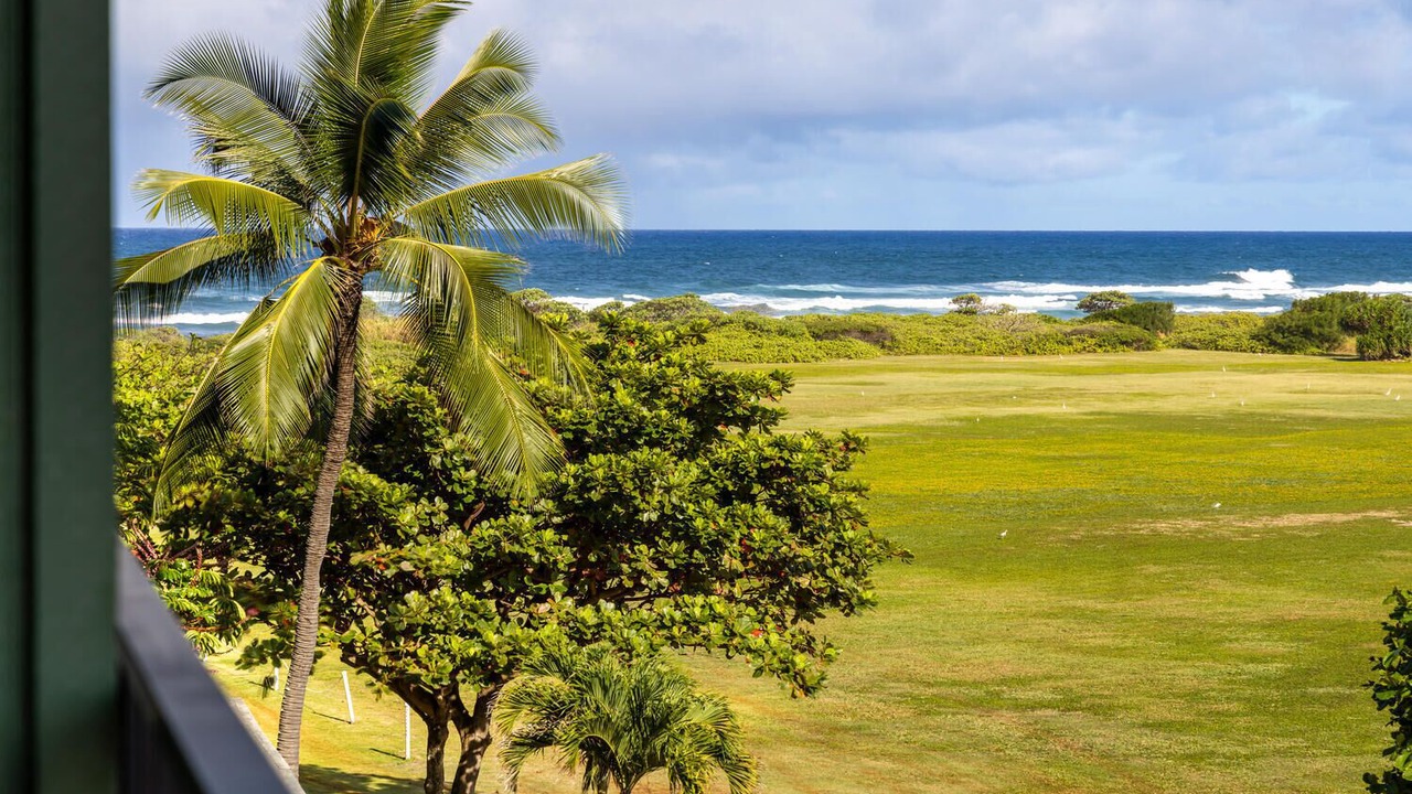 Photo of Outdoor in Hanamaulu