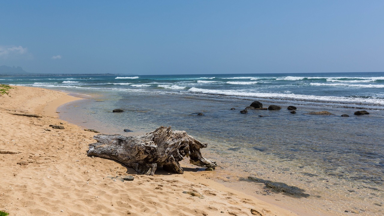Photo of Others in Hanamaulu