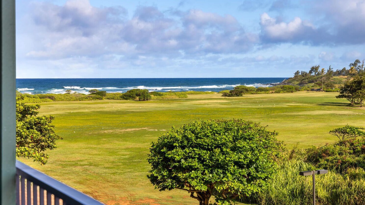 Photo of Outdoor in Hanamaulu