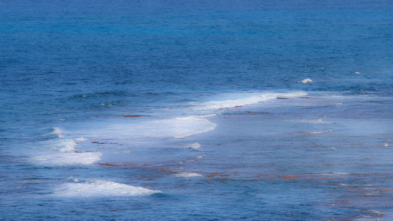 Photo of Others in Princeville