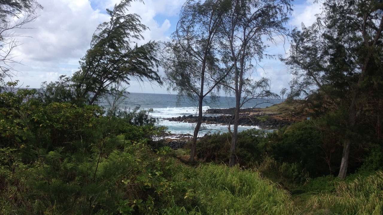 Photo of Outdoor in Princeville