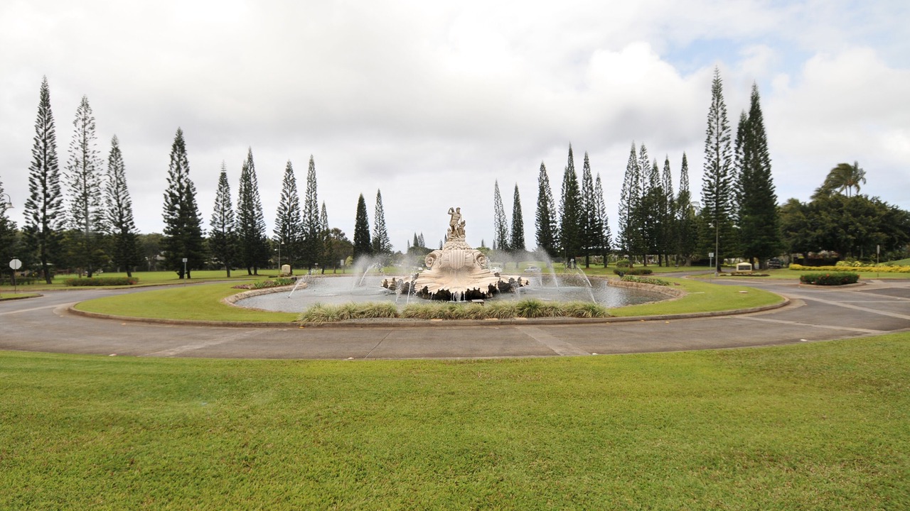 Photo of Others in Princeville
