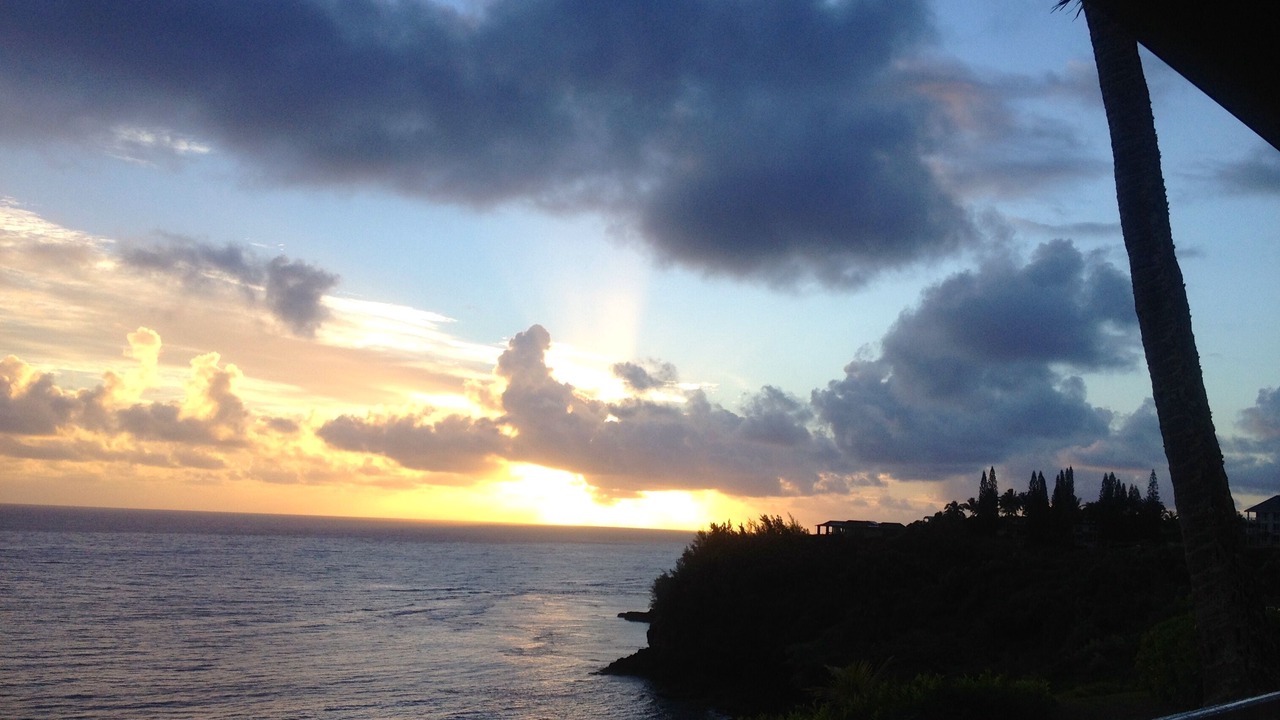Photo of Others in Princeville