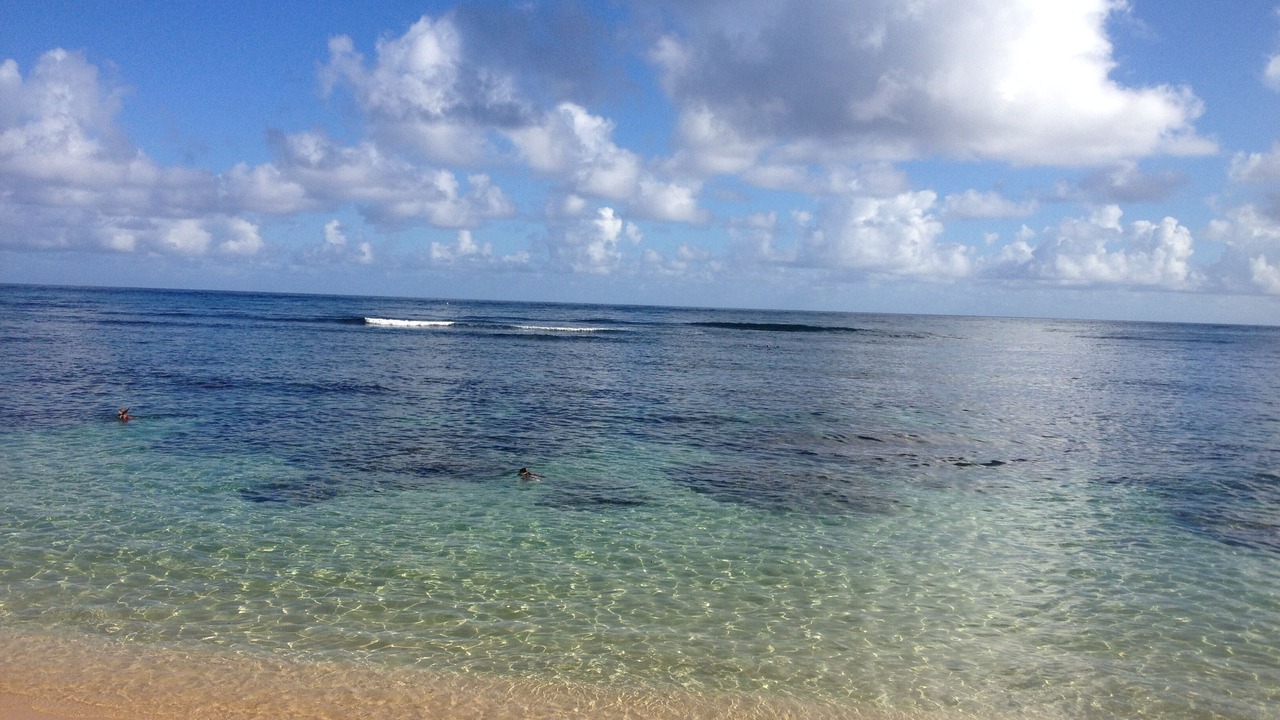Photo of Others in Princeville