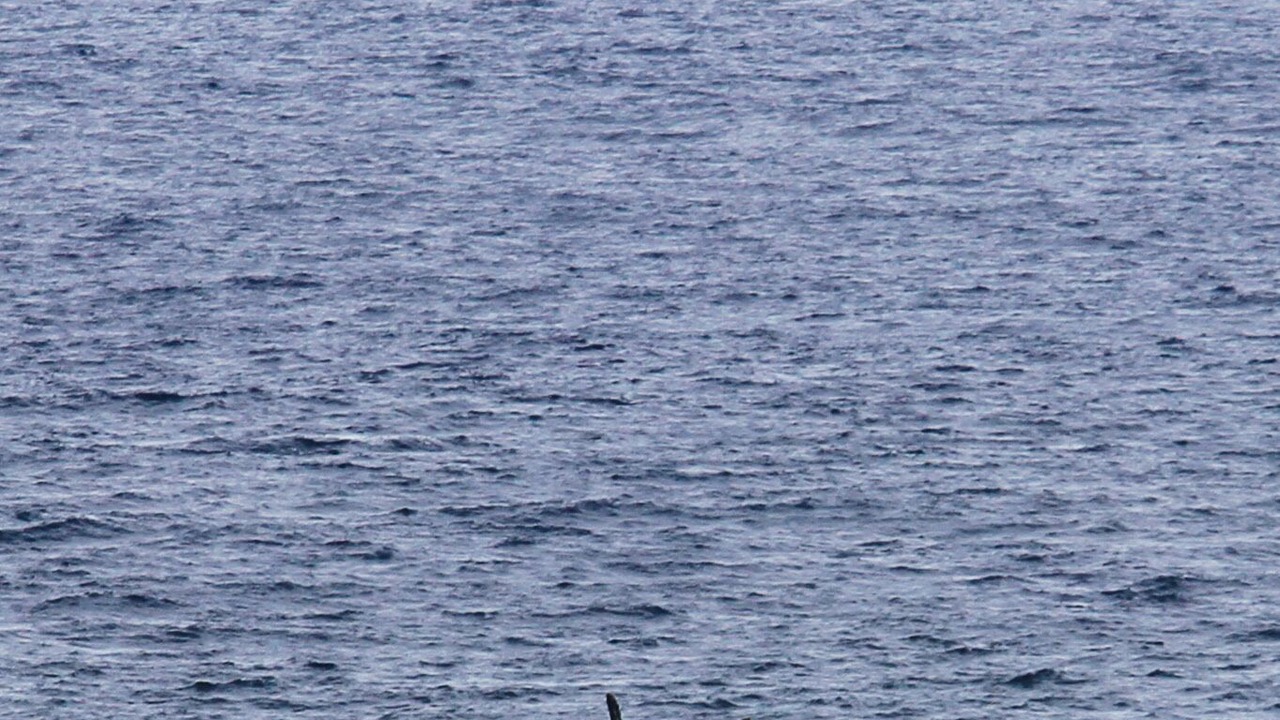 Photo of Others in Princeville
