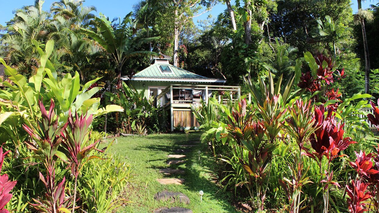 Photo of Others in Wainiha