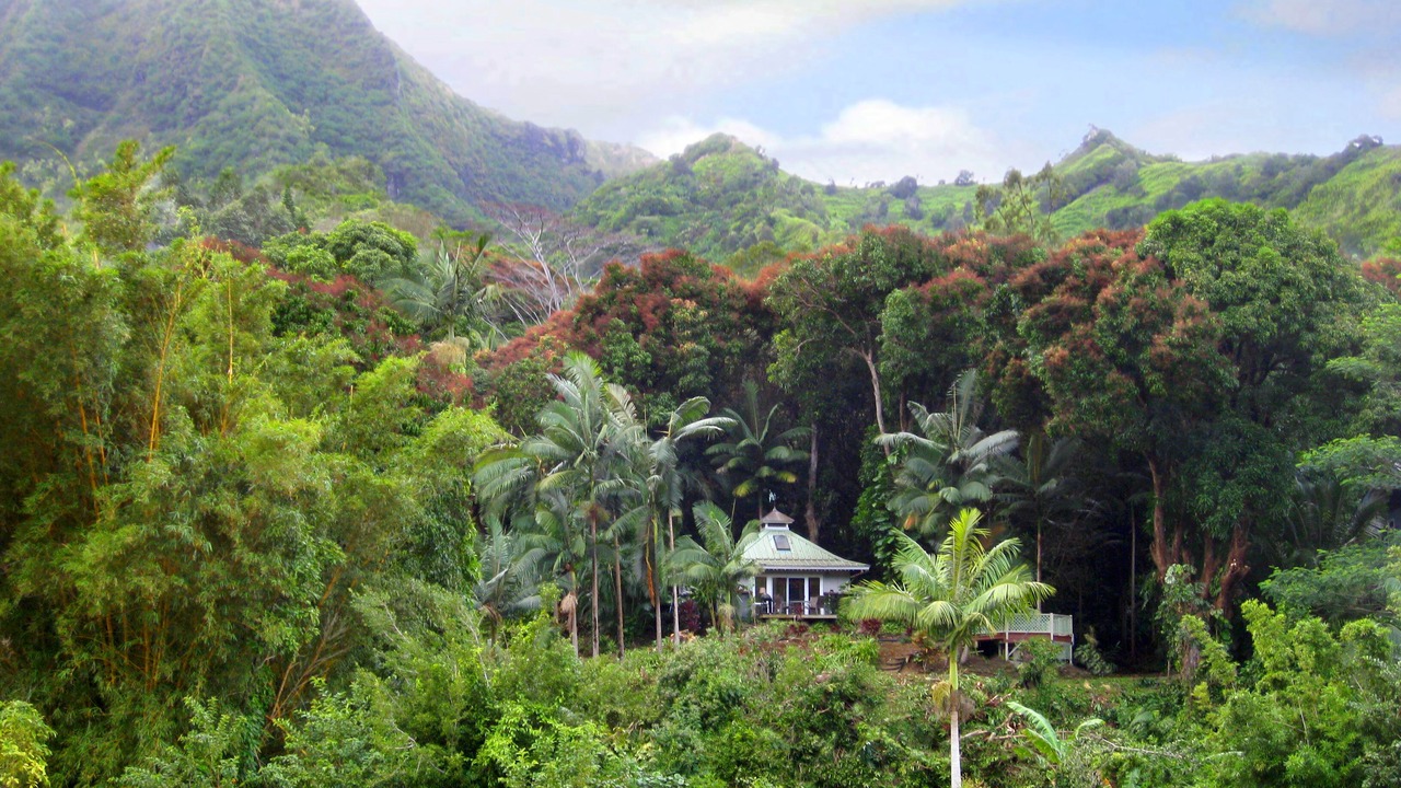 Photo of Others in Wainiha
