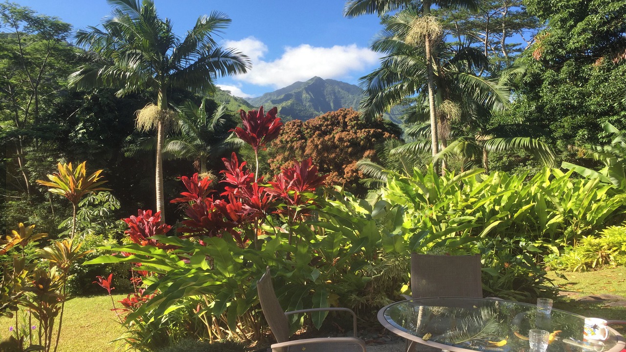 Photo of Others in Wainiha