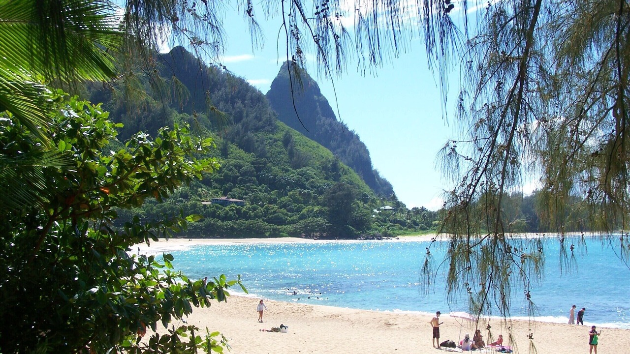 Photo of Others in Wainiha
