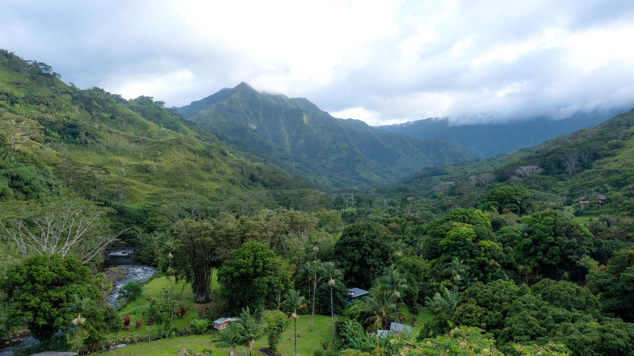 Photo of Others in Wainiha