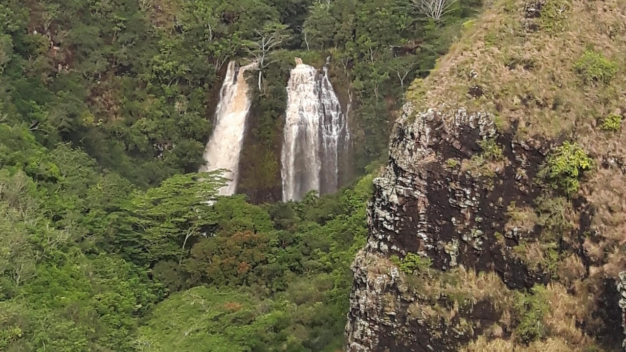 Photo of Outdoor in Nawiliwili