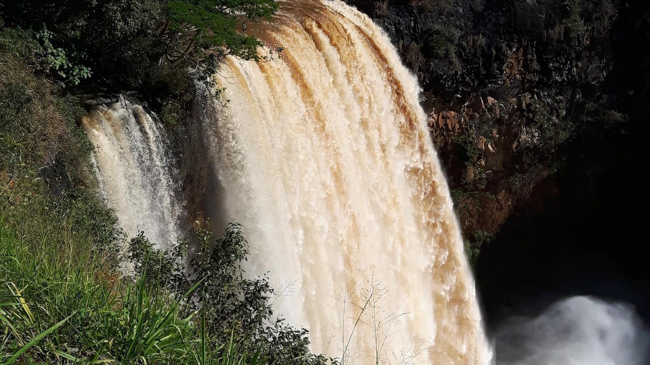 Photo of Outdoor in Nawiliwili