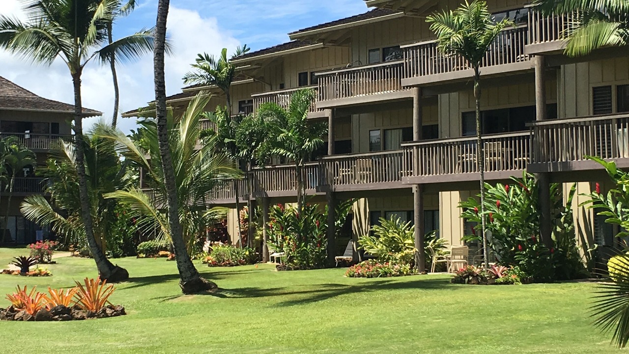 Photo of Others in Wailua
