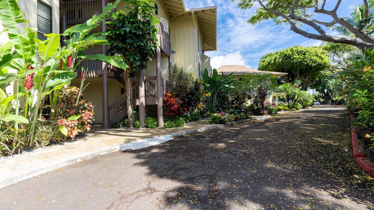 Photo of Others in Wailua