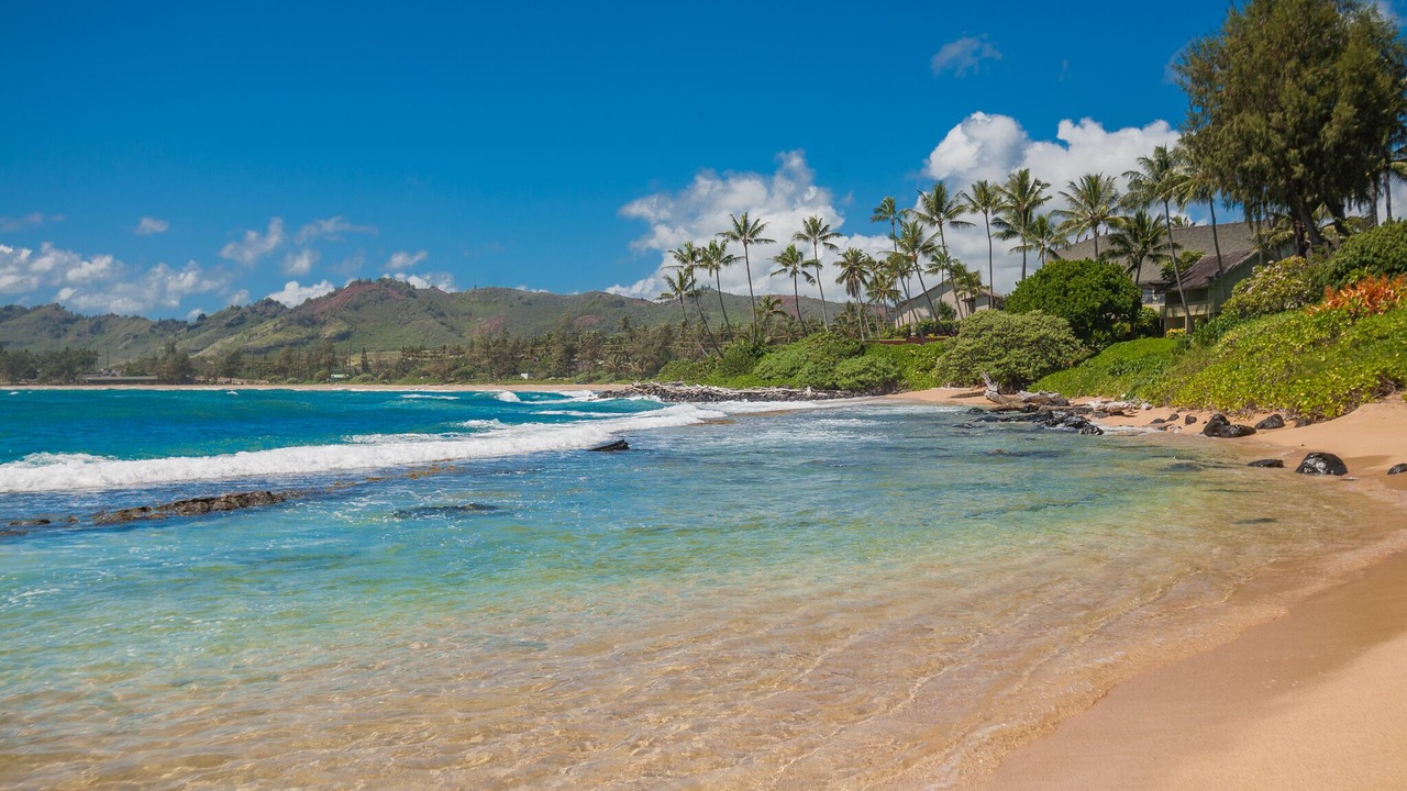 Photo of Others in Wailua