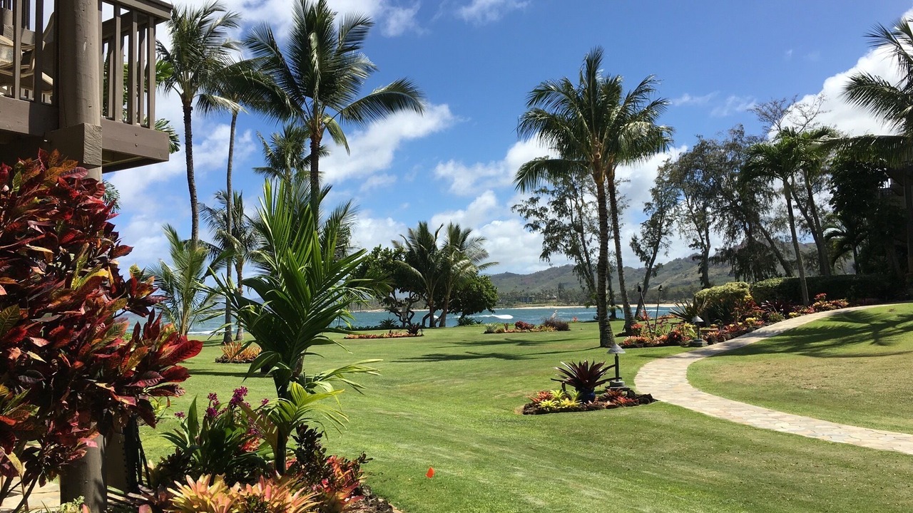 Photo of Others in Wailua