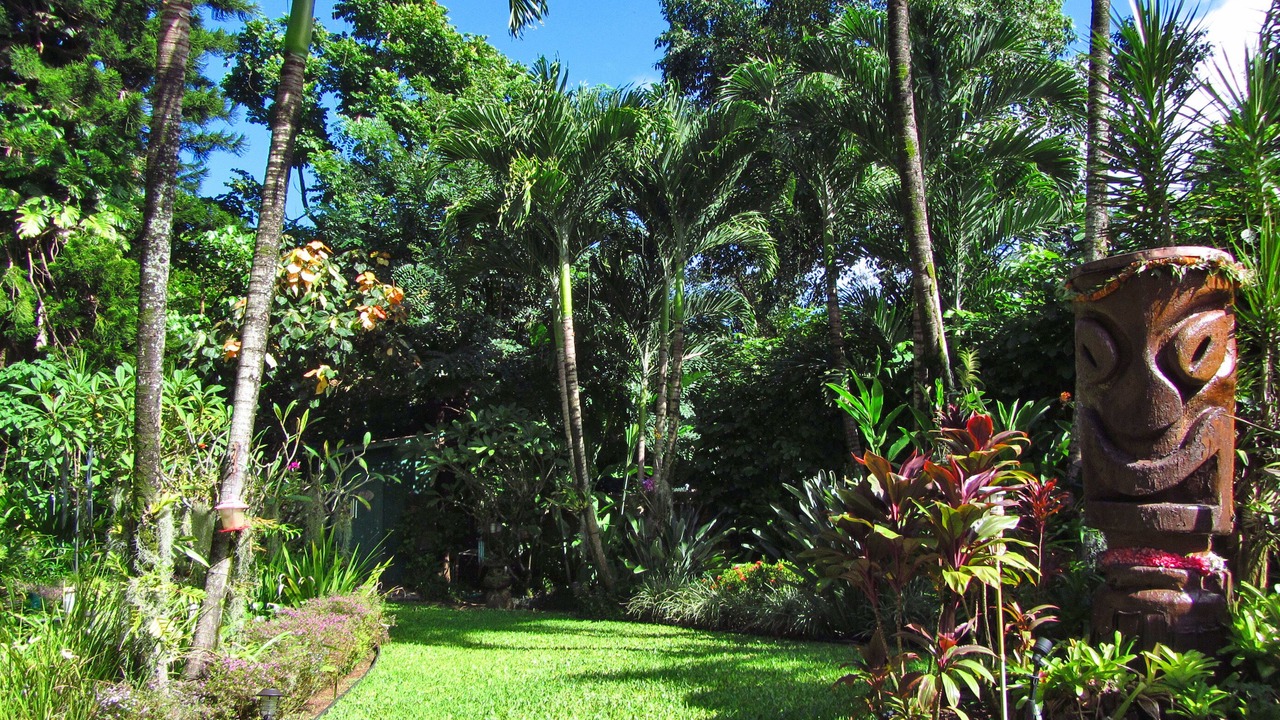 Photo of Others in Wainiha