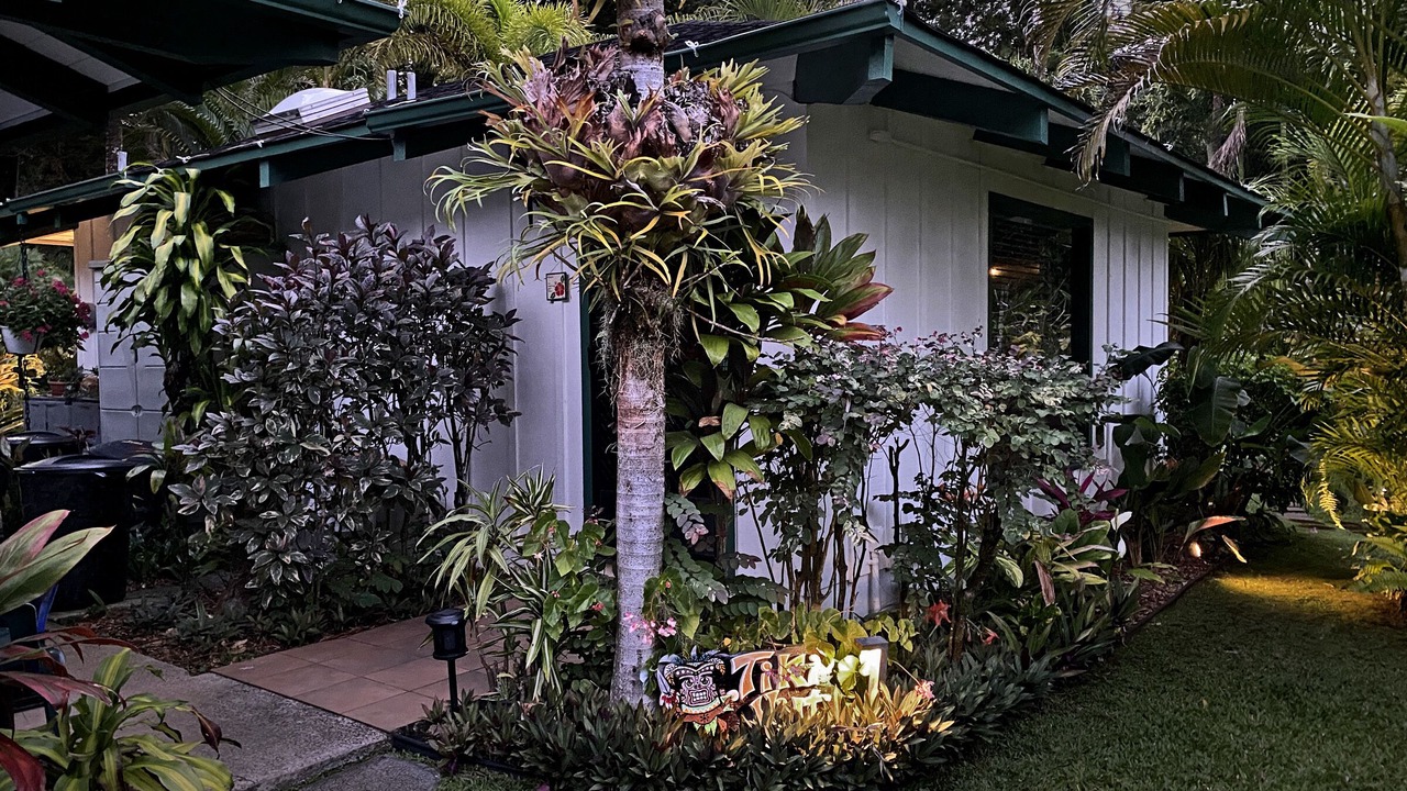 Photo of Others in Wainiha