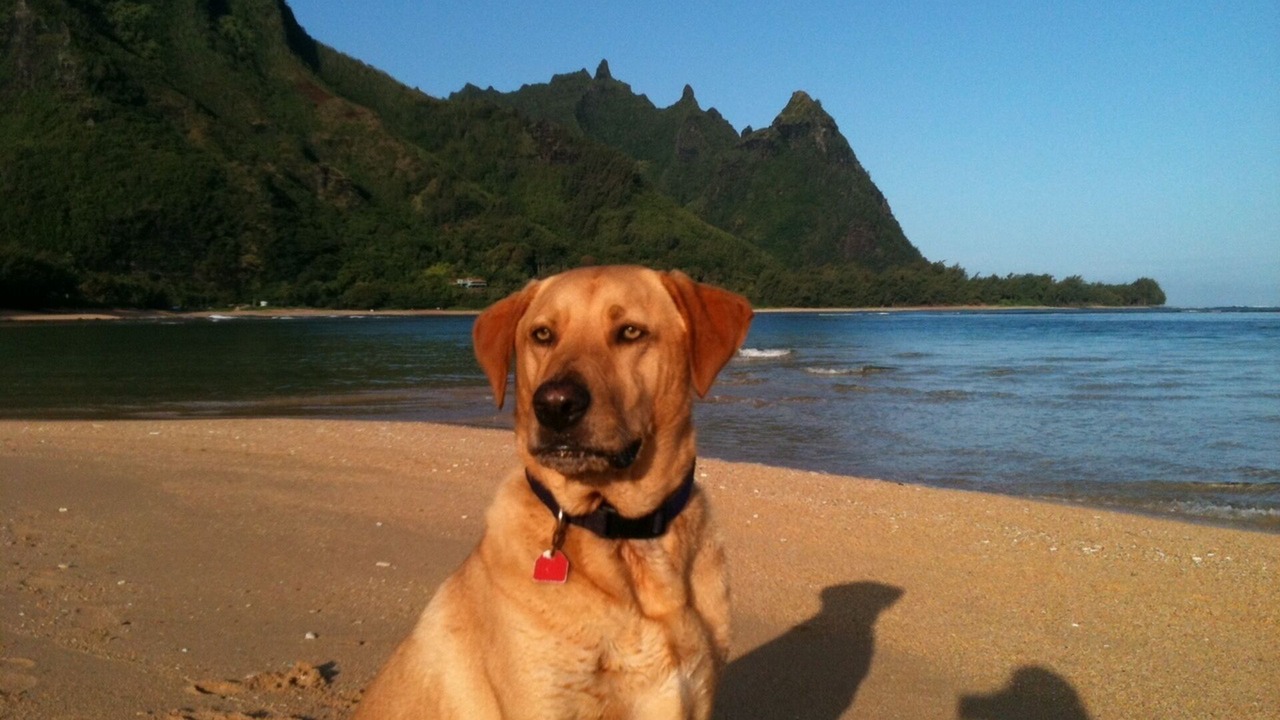 Photo of Others in Wainiha