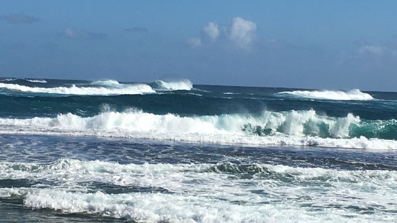 Photo of Others in Wainiha