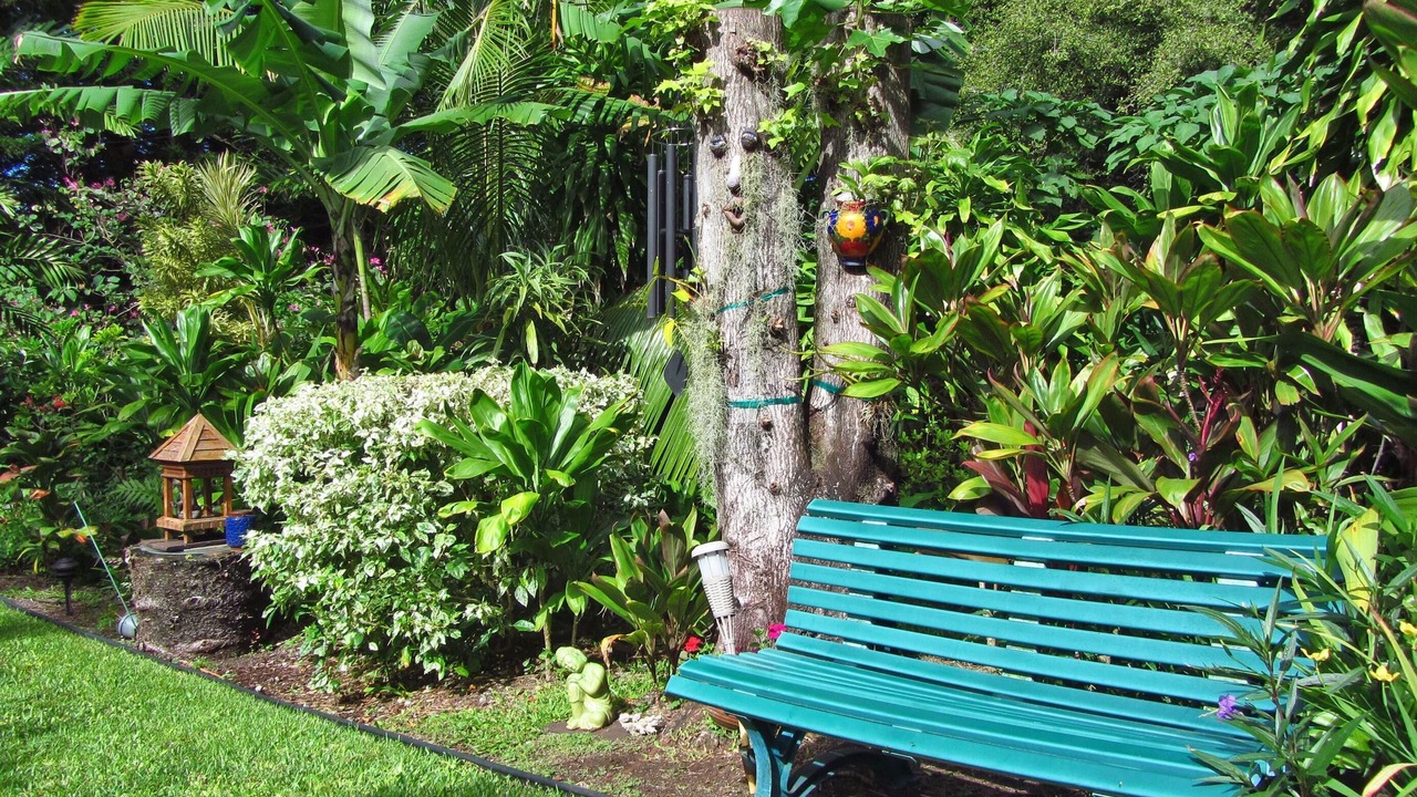 Photo of Others in Wainiha