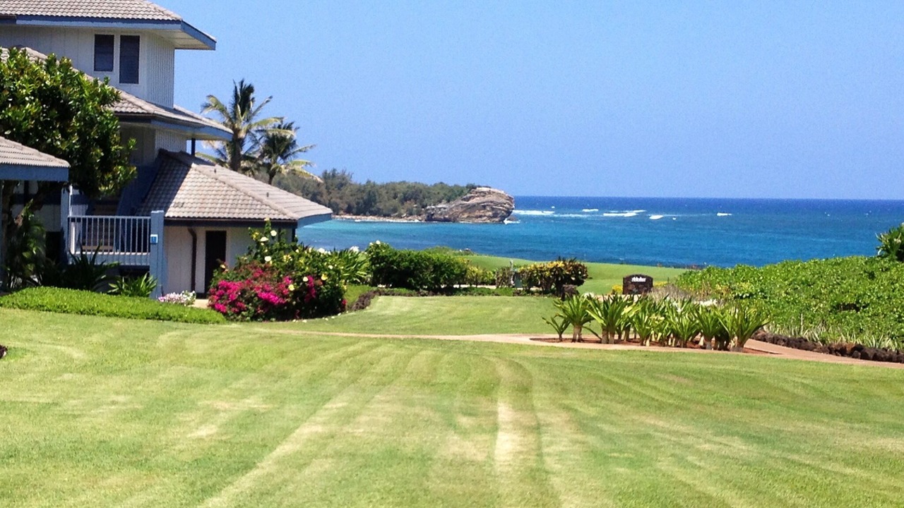 Photo of Others in Poipu