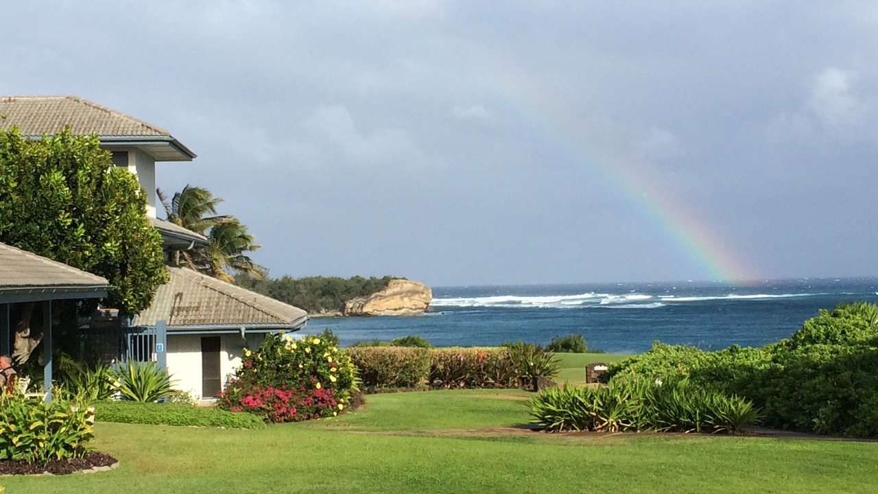 Photo of Others in Poipu