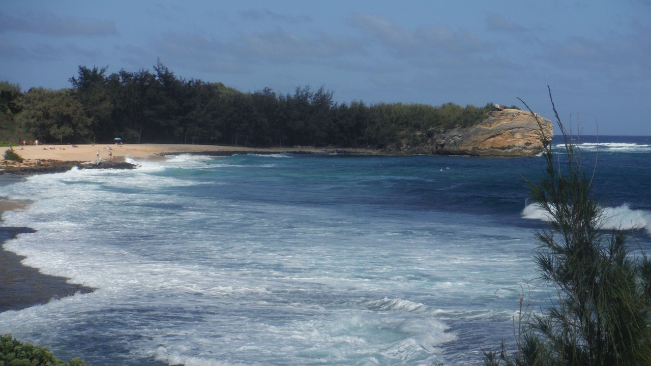 Photo of Others in Poipu