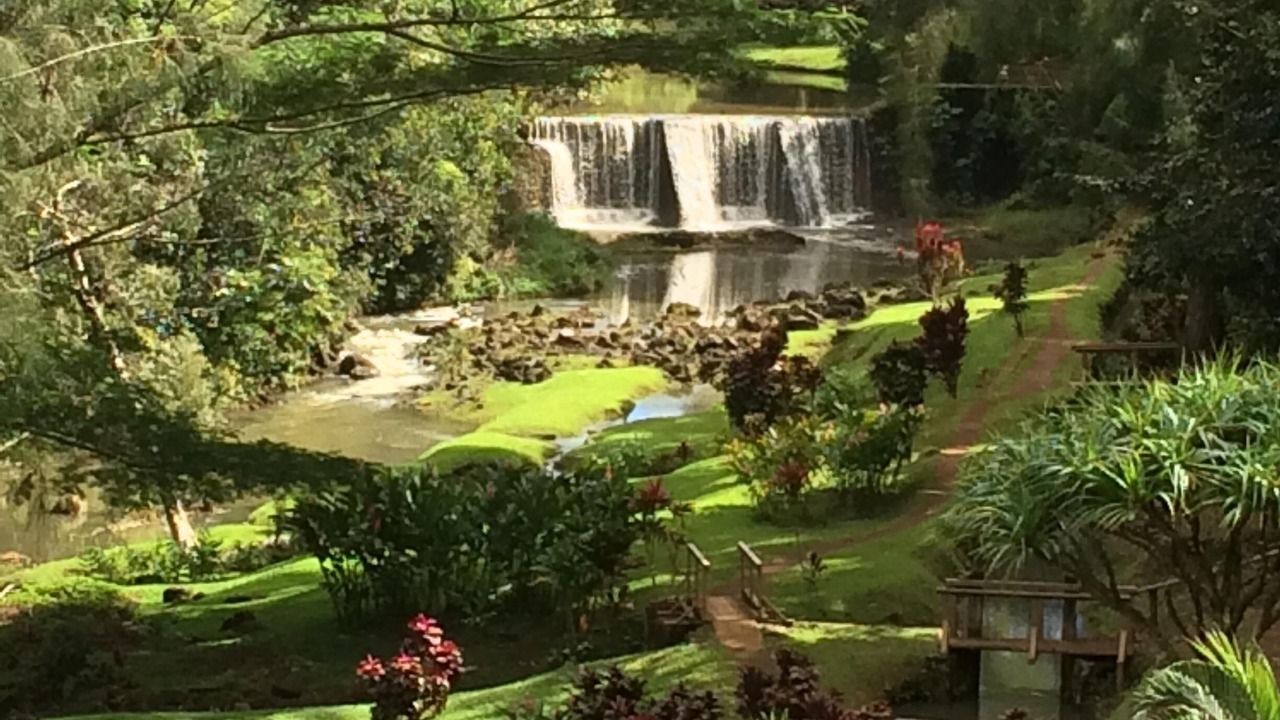 Photo of Others in Poipu