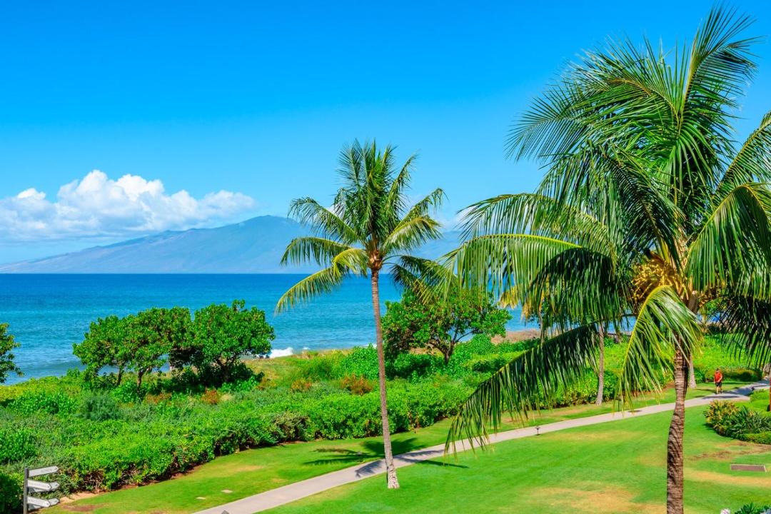 Photo of Others in Kaanapali