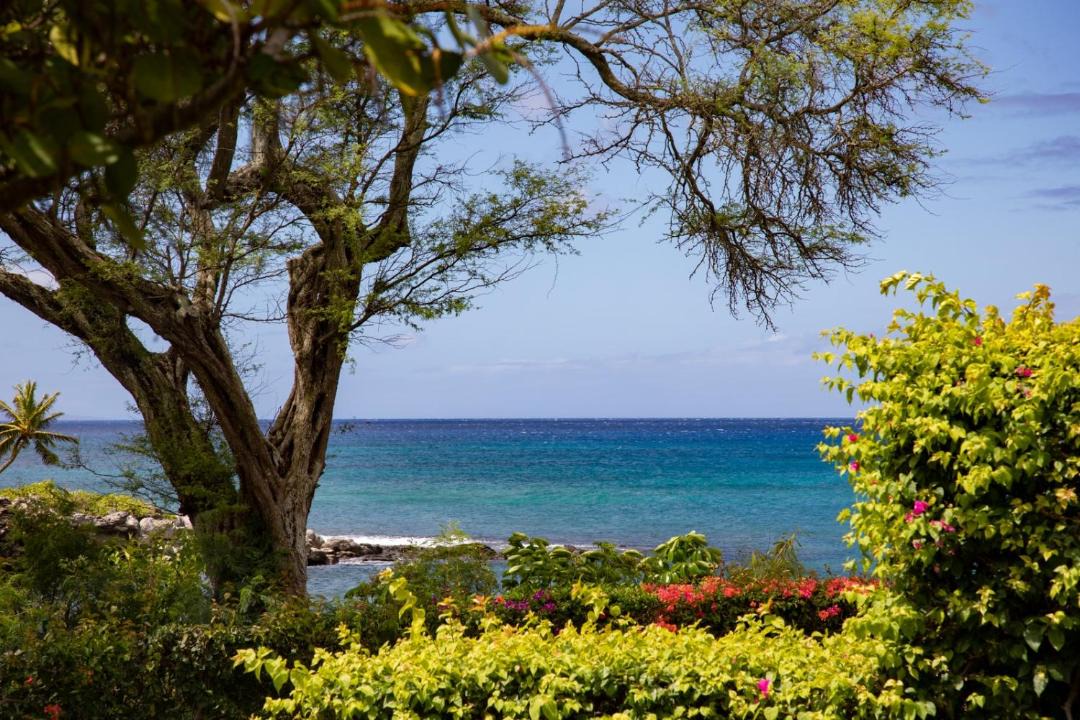 Photo of Others in Napili
