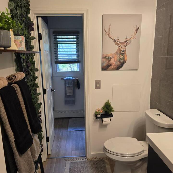 Photo of Bathroom in Clifton Park