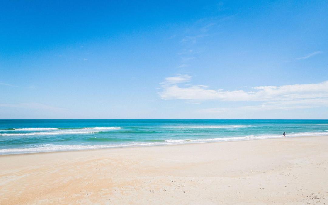 Photo of Others in Carolina Dunes