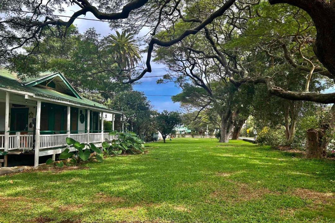 Photo of Others in Naalehu