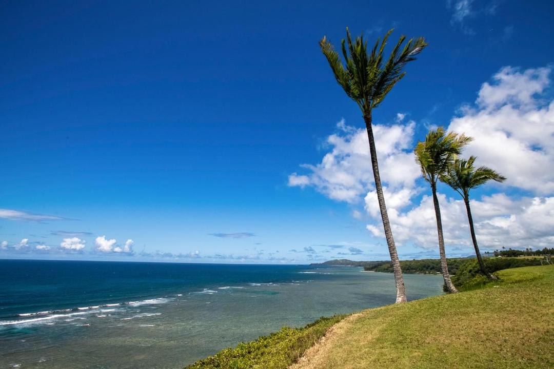 Photo of Others in Princeville