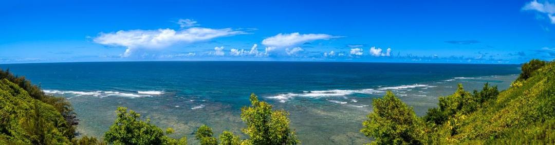 Photo of Others in Princeville