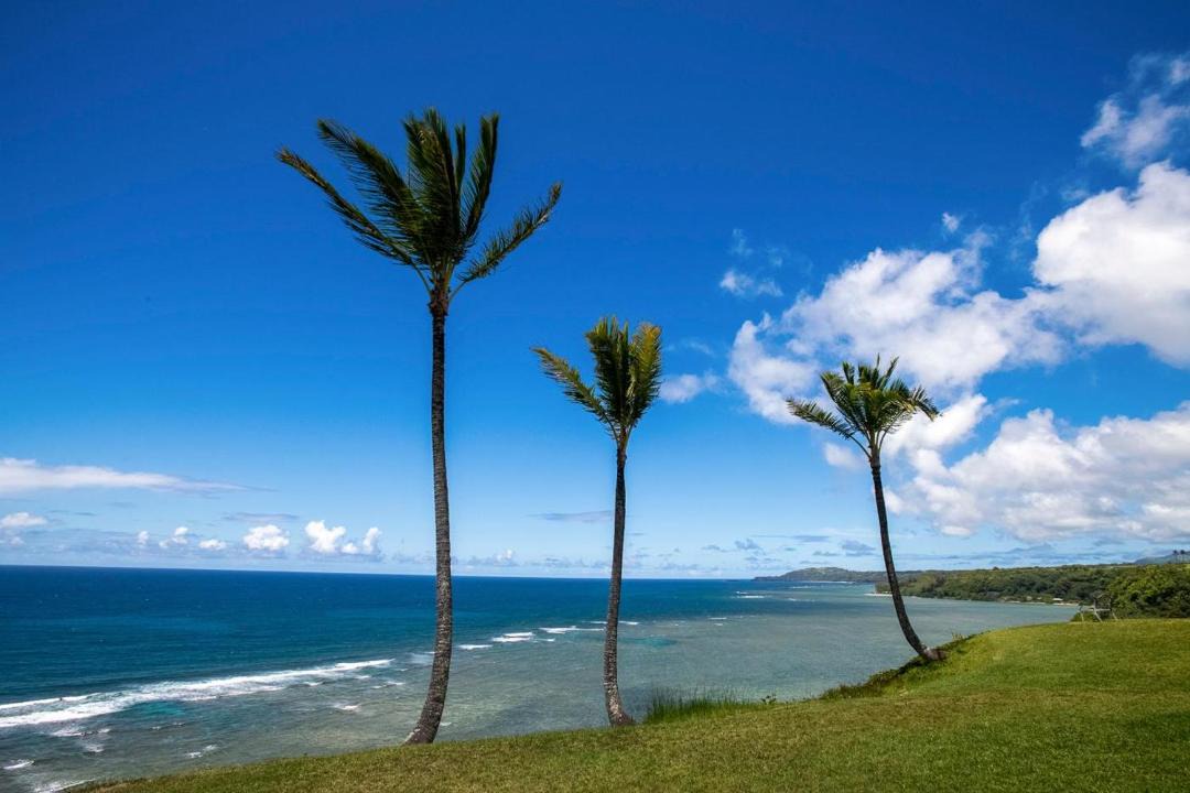 Photo of Others in Princeville