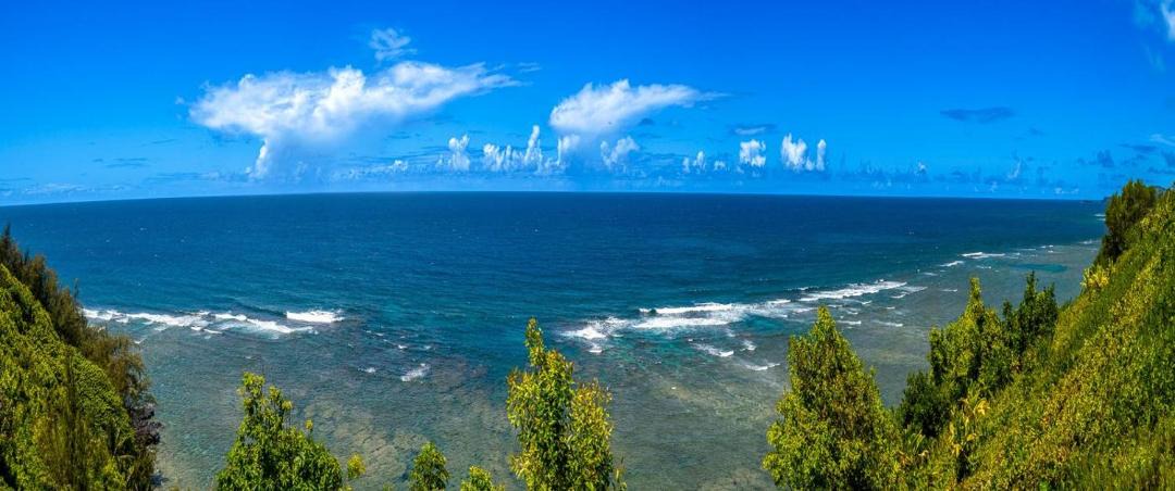 Photo of Others in Princeville