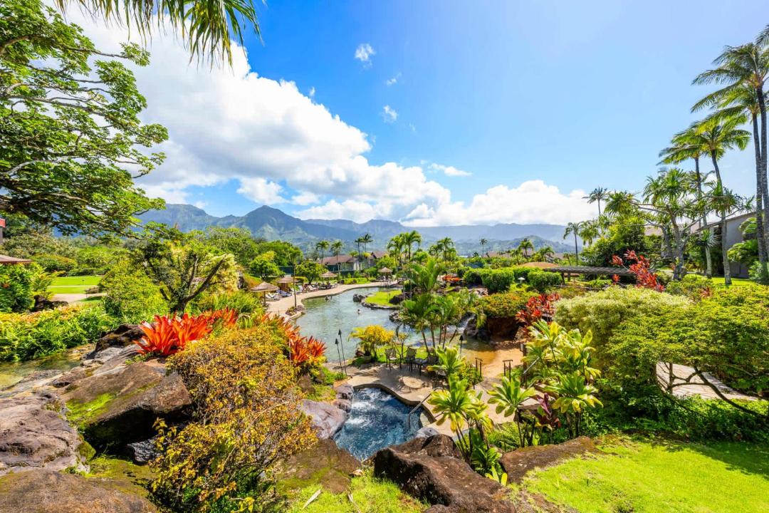 Photo of Others in Princeville