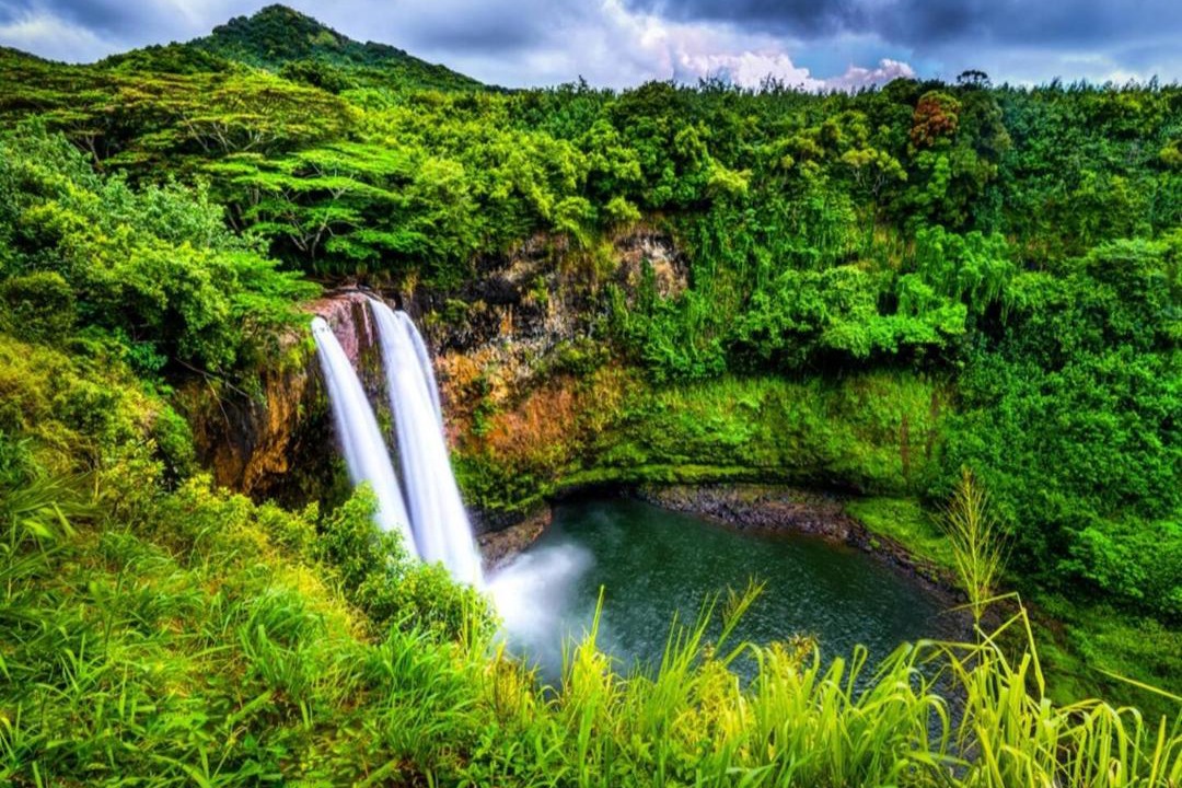 Photo of Others in Poipu