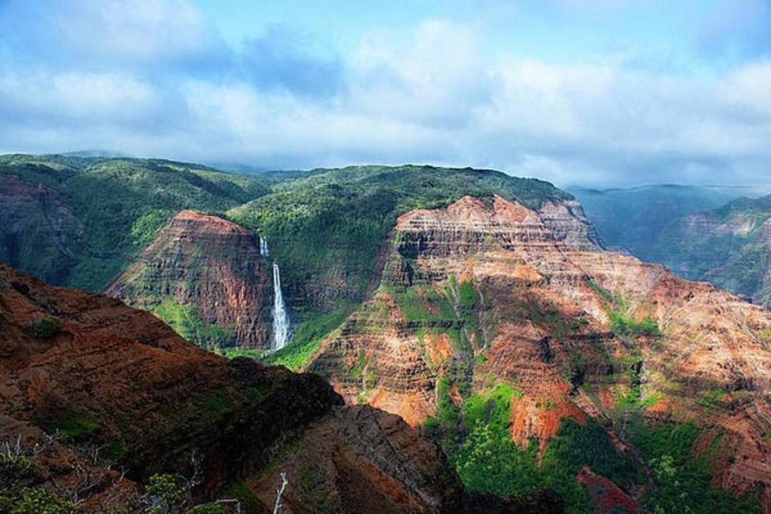 Photo of Others in Poipu