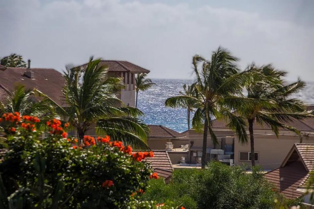 Photo of Others in Poipu