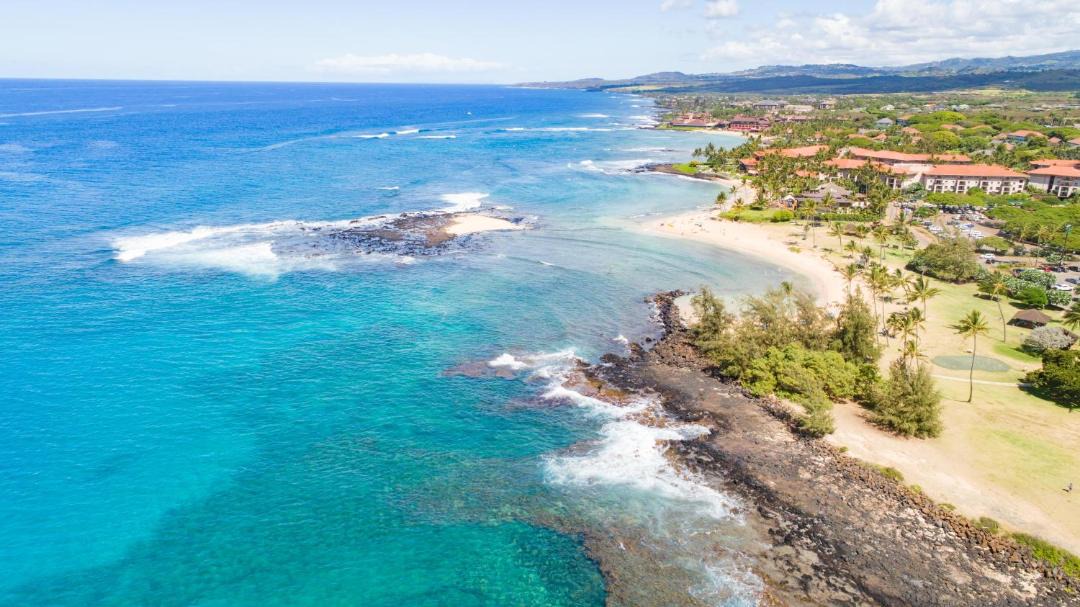 Photo of Others in Koloa